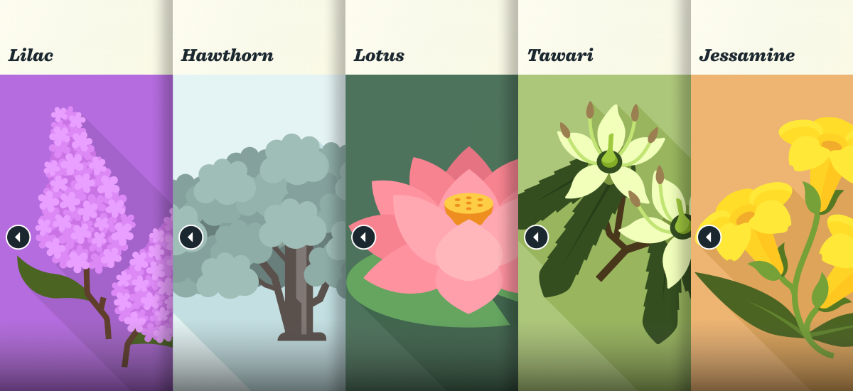 The artwork for the five new voices added to Spoken. Pink lilac flowers, a blue-green hawthorn tree, a bright pink lotus on a lily pad, off-white tawari flowers on the branch of a tree, and a vine of yellow jessamine.