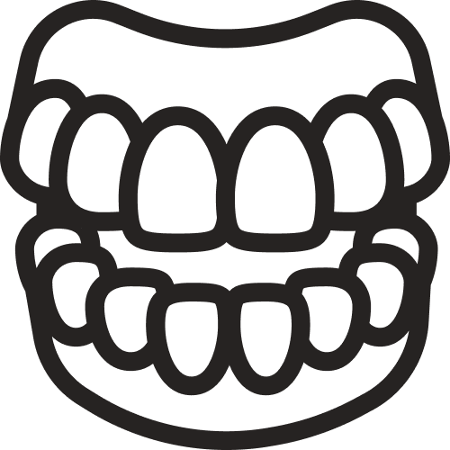 An icon depicting a realistic set of teeth. It also shows the gums that the rows of teeth connect to. The mouth is open slightly, as if talking or laughing.