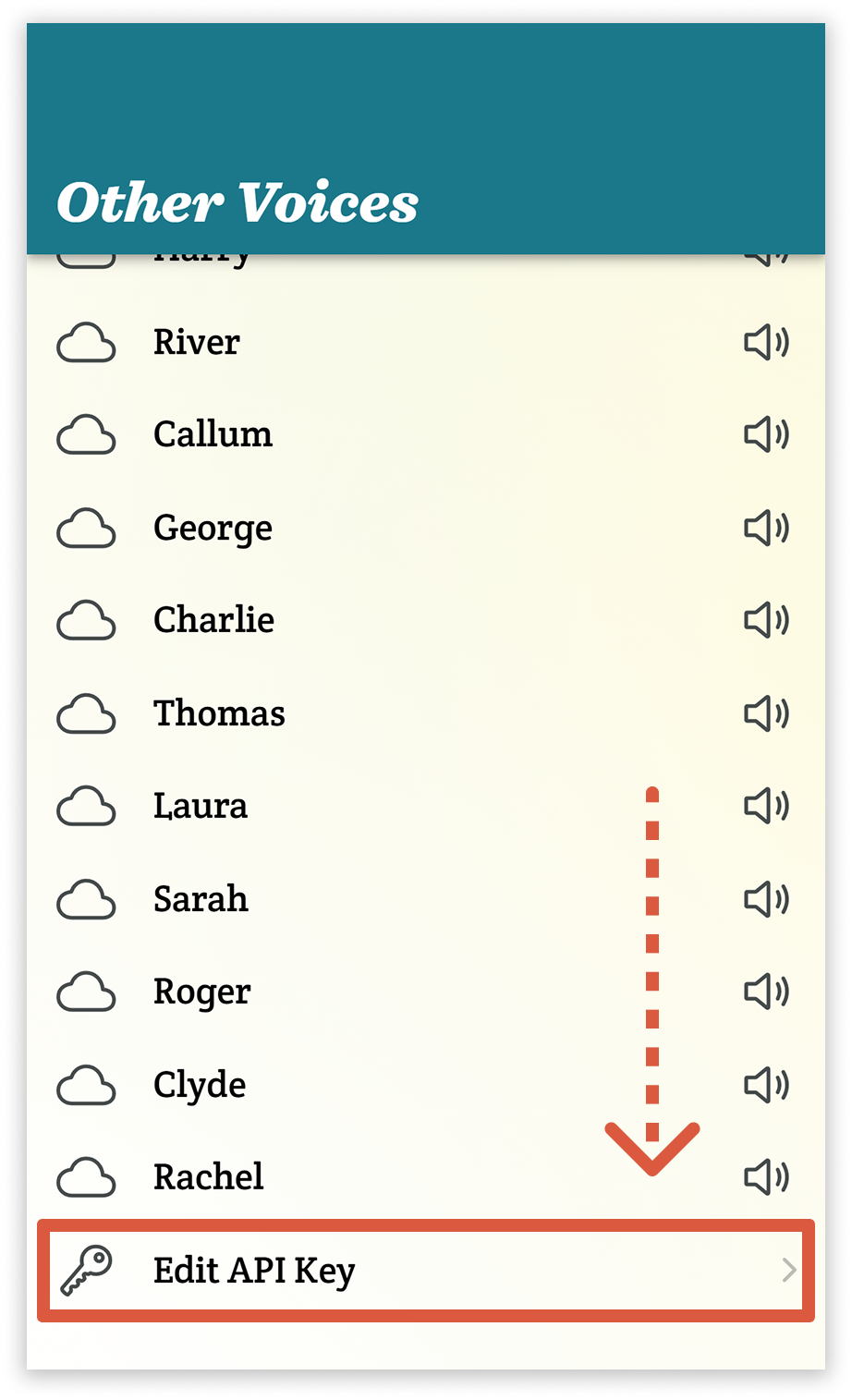 The Edit API Key button at the bottom of a long list of voices.